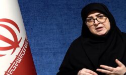 مهاجرانی: براساس منافع ملی درباره مذاکرات تصمیم می‌گیریم