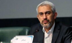 وزیر اقتصاد: سهامداران اصلی، زیان بانک آینده را پرداخت میکنند