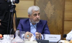 بهنام سعیدی: سرمایهگذاریهای گروه مالی گردشگری آینده توسعه و اشتغال کرمان را تضمین میکند