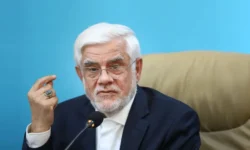 عارف: شوراهای عالی نباید در امور اجرایی دانشگاه‌ها دخالت کنند