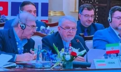 صالحی‌امیری: جهان امروز بیش از اقتصادهای تاب‌آور، به جوامع تاب‌آور نیاز دارد