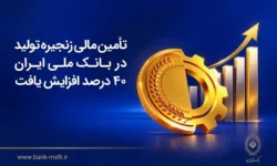 تأمین مالی زنجیره تولید در بانک ملی ایران ۴۰درصد افزایش یافت