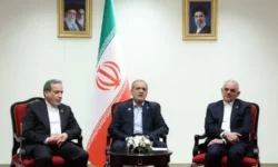 رایزنیهای مفید و موثری در راستای همکاریهای منطقهای و تعاملات دوجانبه داشتیم