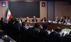 سیاستهای مدیریت مصرف بنزین تدریجی و با محوریت همراهی مردم اجرا میشود
