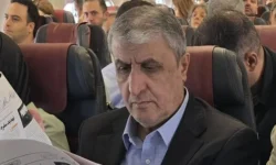 رئیس سازمان انرژی اتمی ایران عازم وین شد