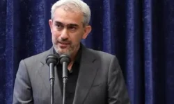 وزیر اقتصاد: کالابرگ از ابتدای مهر حداقل ۳۰۰ هزار تومان افزایش مییابد